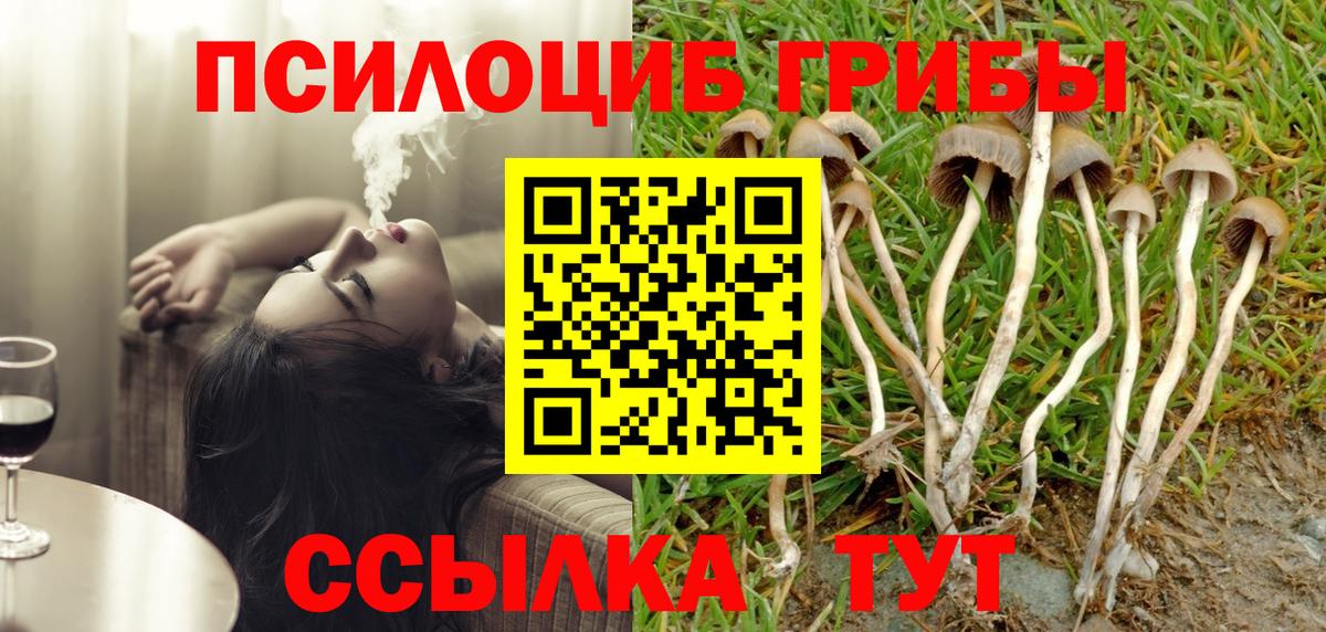 Псилоцибиновые грибы MAGIC MUSHROOMS Донецк