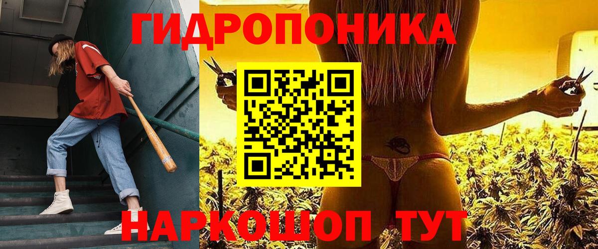 Бошки Шишки Amnesia  Каннабис план  Донецк  Марихуана VHQ  Вход с VPN 